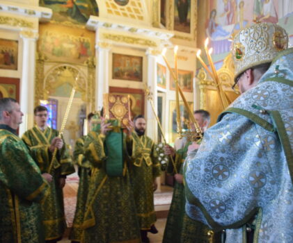 Вход Господень во Иерусалим. Вербное Воскресение. Архиерейское богослужение в храме свт.Николая п.Кадый